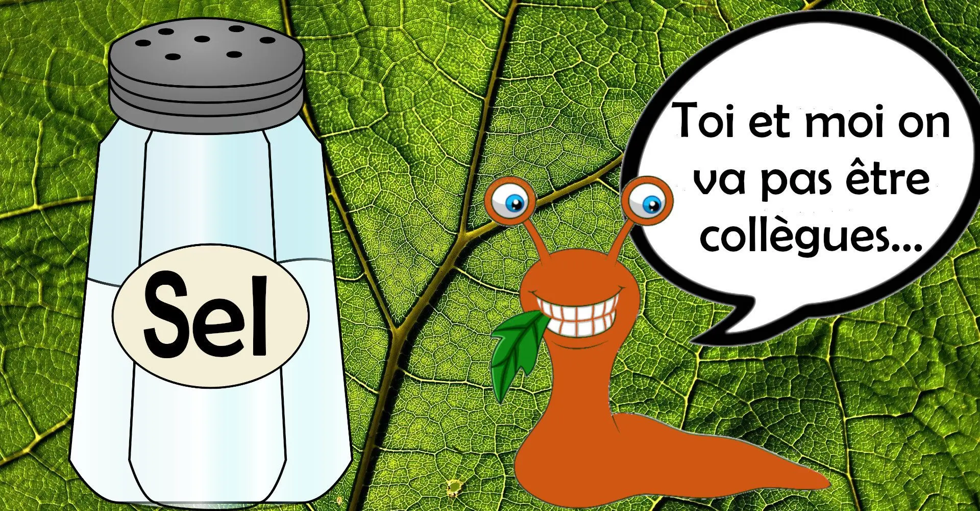 Afbeelding van grof zout op een slak in de moestuin