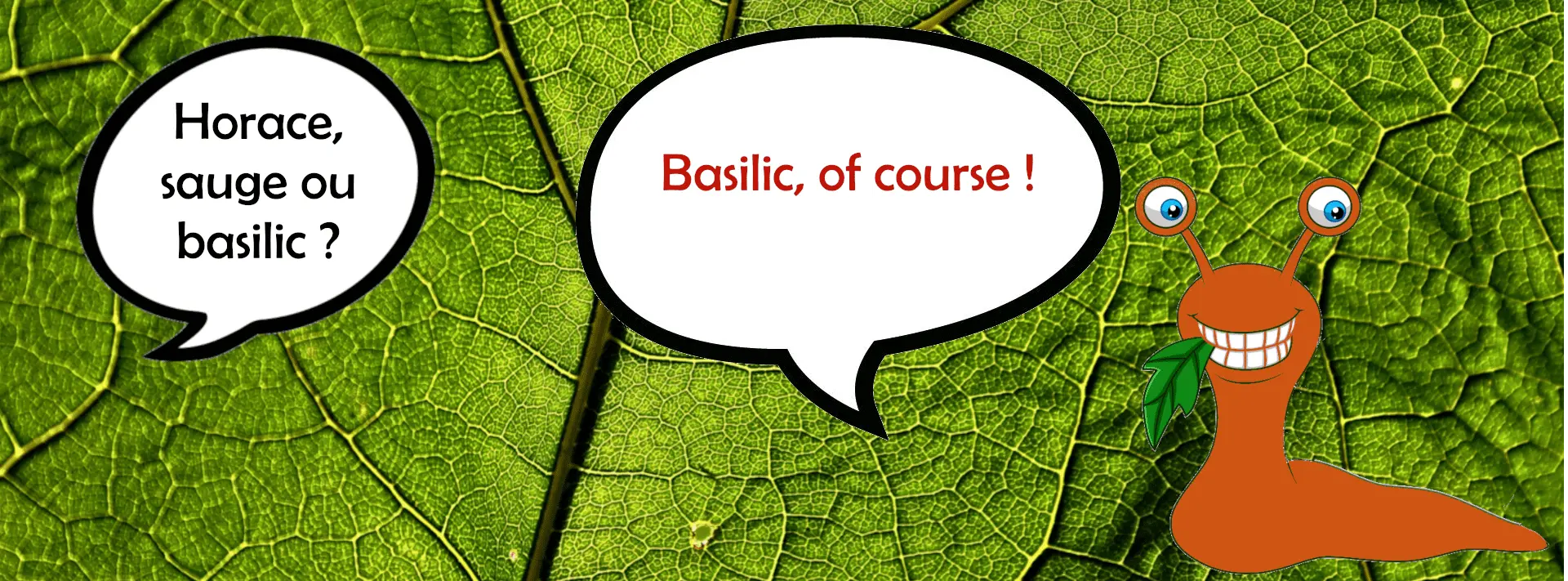 Slakken houden van basilicum