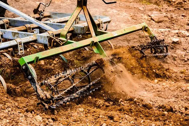 de grond omploegen doodt de loopkevers