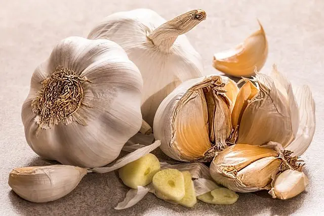 knoflook is doeltreffend tegen slakken