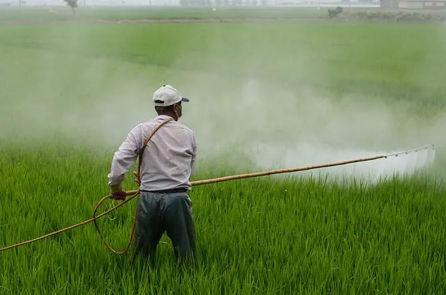 pesticiden verkorten de levensduur van slakken